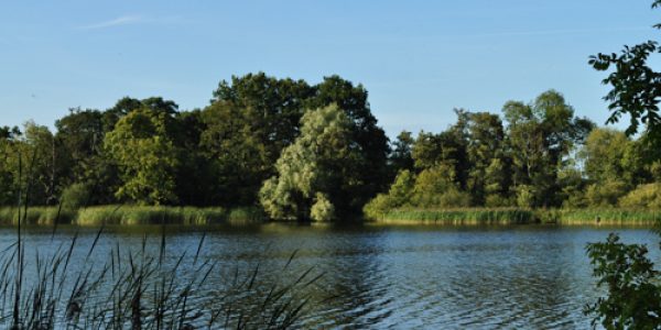 Fairhaven Woodland and Water Garden