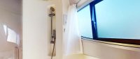 Norfolk Broads-Sovereign Light- Bathroom
