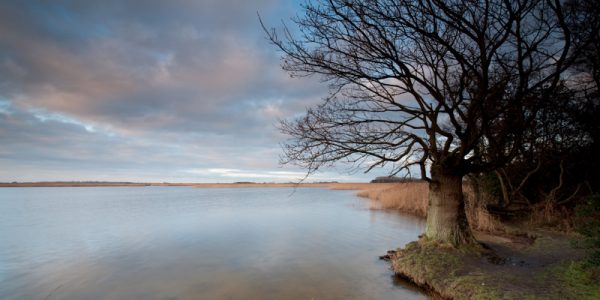 Martham Broad