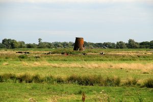 Ludham Marshes Walk 3