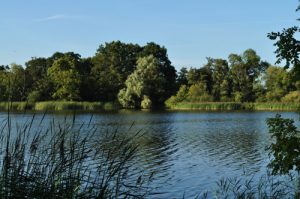 Fairhaven Woodland and Water Garden